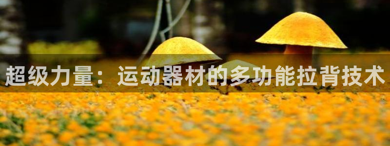 fb体育招商电话号码