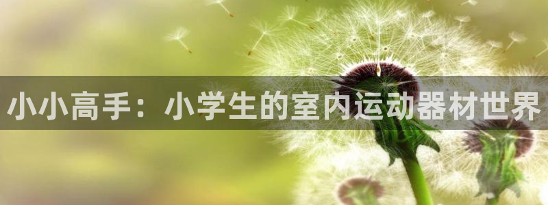 fb体育平台是正规平台吗知乎：小小高手：小学生的室内运动器材