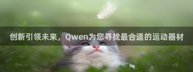 fb体育平台是正规平台吗安全吗：创新引领未来，Qwen为您寻