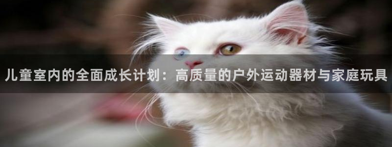 fb体育招商电话号码查询是多少：儿童室内的全面成长计划：高质