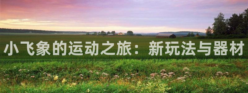 fb体育招商电话地址：小飞象的运动之旅：新玩法与器材