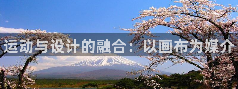 fb体育招商电话号码查询：运动与设计的融合：以画布为