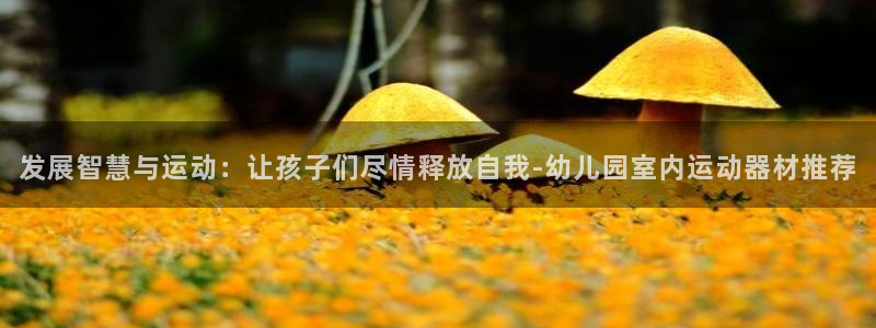 fb体育开户：发展智慧与运动：让孩子们尽情释放自我-幼儿园室