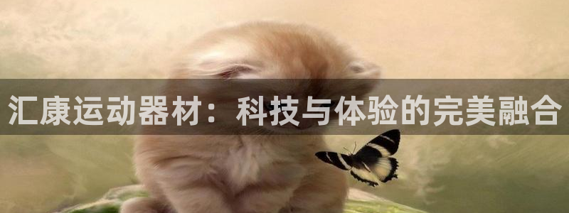 fb体育联系电话：汇康运动器材：科技与体验的完美融合