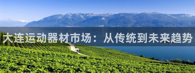 fb体育娱乐代理怎么样：大连运动器材市场：从传统到未来趋势