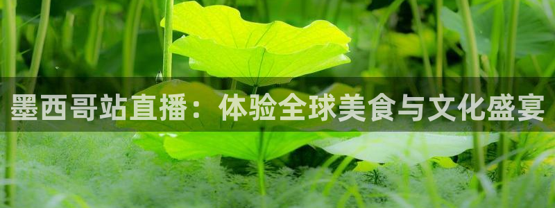 857体育赛事直播平台：墨西哥站直播：体验全球美食与文化盛宴