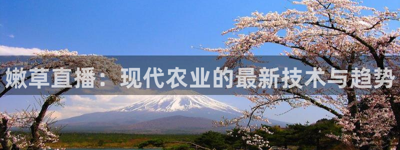 857体育直播间