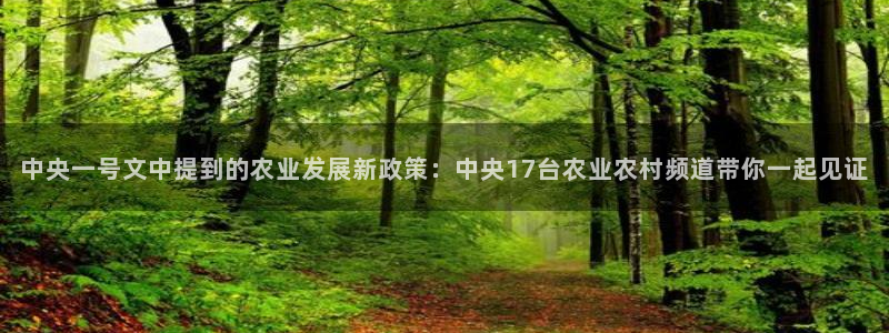 857直播体育解说：中央一号文中提到的农业发展新政策：中央17台农业农村频道带你一起见证