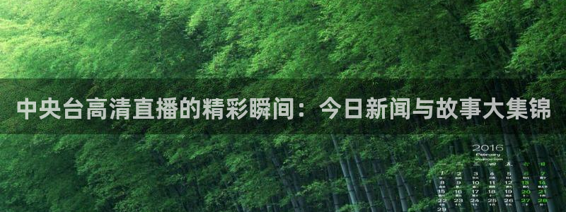 857足球直播在线观看：中央台高清直播的精彩瞬间：今日新闻与故事大集锦