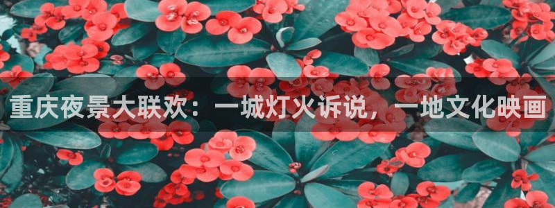 nba在线观看857直播：重庆夜景大联欢：一城灯火诉说，一地文化映画